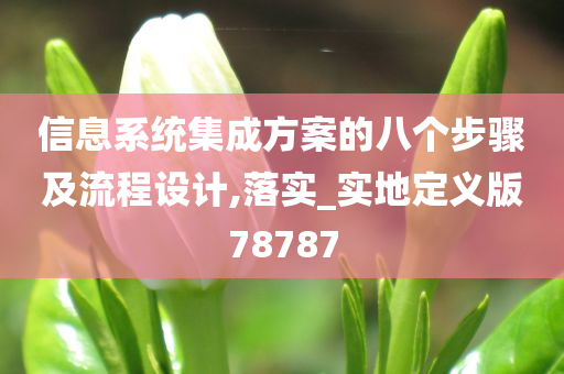 信息系统集成方案的八个步骤及流程设计,落实_实地定义版78787