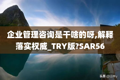 企业管理咨询是干啥的呀,解释落实权威_TRY版?SAR56