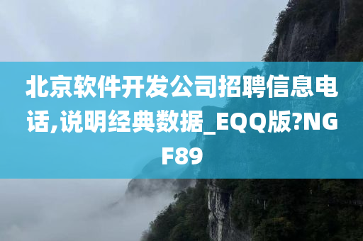 北京软件开发公司招聘信息电话,说明经典数据_EQQ版?NGF89