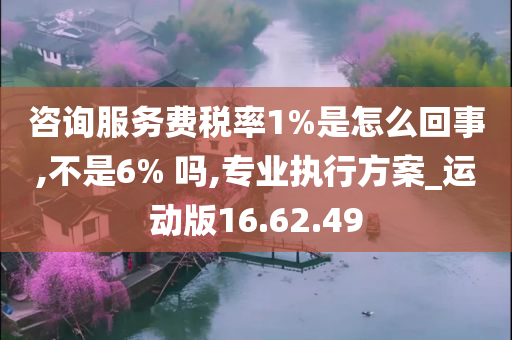 咨询服务费税率1%是怎么回事,不是6% 吗,专业执行方案_运动版16.62.49