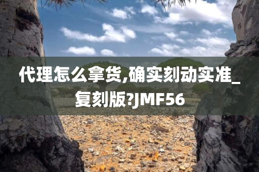 代理怎么拿货,确实刻动实准_复刻版?JMF56