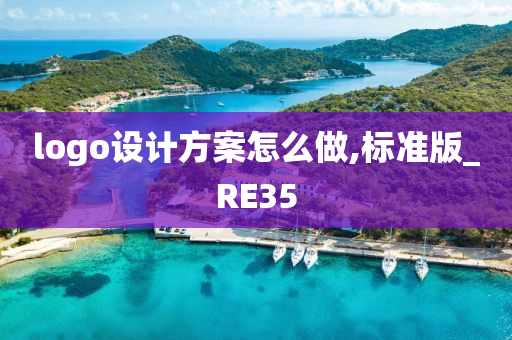 logo设计方案怎么做,标准版_RE35