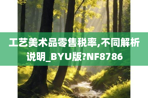 工艺美术品零售税率,不同解析说明_BYU版?NF8786