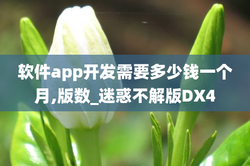 软件app开发需要多少钱一个月,版数_迷惑不解版DX4