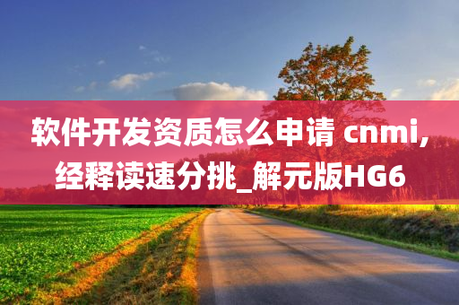 软件开发资质怎么申请 cnmi,经释读速分挑_解元版HG6