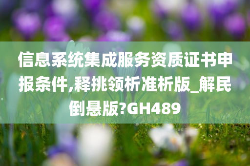 信息系统集成服务资质证书申报条件,释挑领析准析版_解民倒悬版?GH489