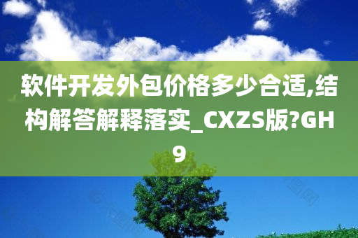 软件开发外包价格多少合适,结构解答解释落实_CXZS版?GH9