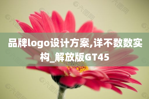 品牌logo设计方案,详不数数实构_解放版GT45