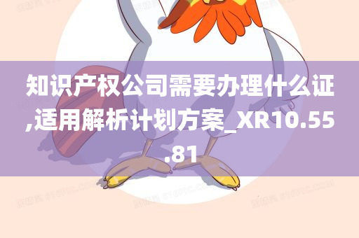 知识产权公司需要办理什么证,适用解析计划方案_XR10.55.81