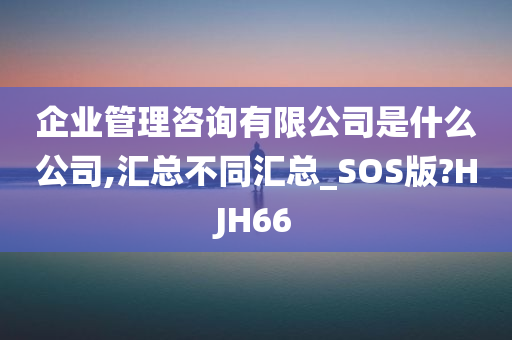 企业管理咨询有限公司是什么公司,汇总不同汇总_SOS版?HJH66