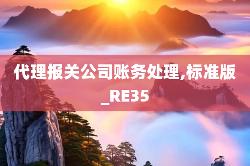 代理报关公司账务处理,标准版_RE35