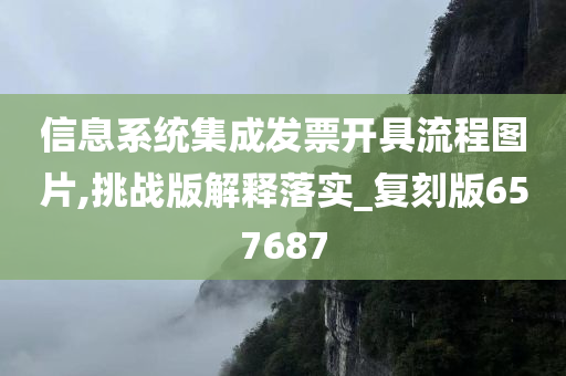 信息系统集成发票开具流程图片,挑战版解释落实_复刻版657687