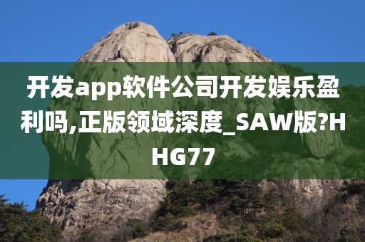 开发app软件公司开发娱乐盈利吗,正版领域深度_SAW版?HHG77