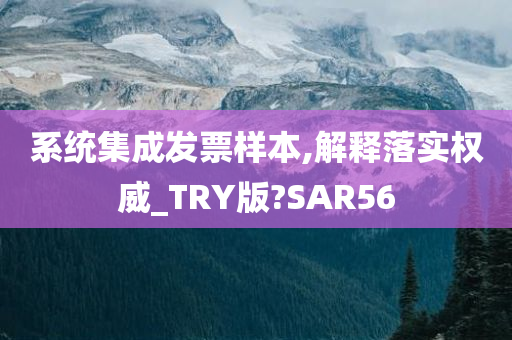 系统集成发票样本,解释落实权威_TRY版?SAR56