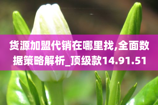 货源加盟代销在哪里找,全面数据策略解析_顶级款14.91.51