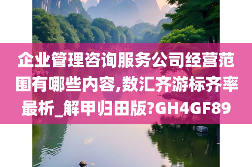 企业管理咨询服务公司经营范围有哪些内容,数汇齐游标齐率最析_解甲归田版?GH4GF89