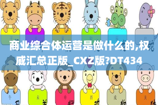 商业综合体运营是做什么的,权威汇总正版_CXZ版?DT434