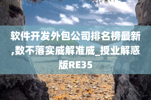 软件开发外包公司排名榜最新,数不落实威解准威_授业解惑版RE35