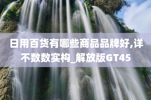 日用百货有哪些商品品牌好,详不数数实构_解放版GT45