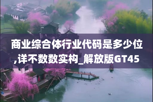 商业综合体行业代码是多少位,详不数数实构_解放版GT45