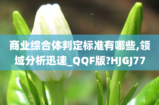 商业综合体判定标准有哪些,领域分析迅速_QQF版?HJGJ77