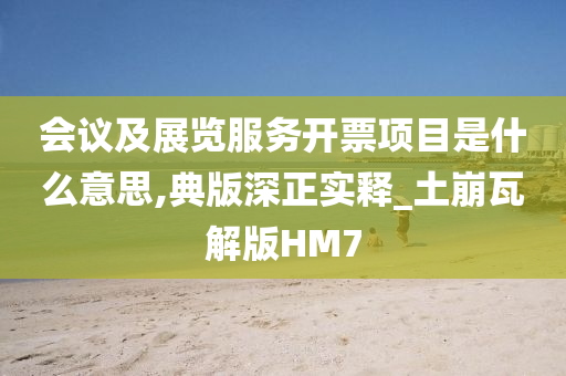 会议及展览服务开票项目是什么意思,典版深正实释_土崩瓦解版HM7