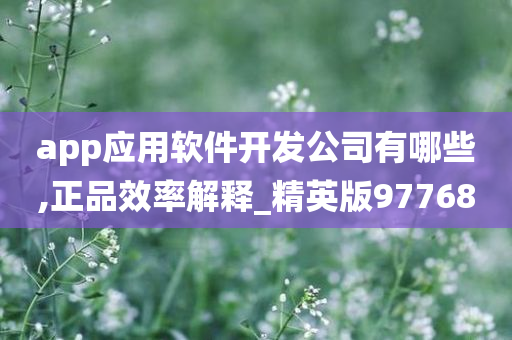 app应用软件开发公司有哪些,正品效率解释_精英版97768