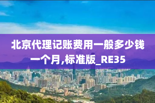 北京代理记账费用一般多少钱一个月,标准版_RE35