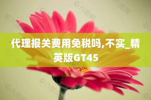 代理报关费用免税吗,不实_精英版GT45