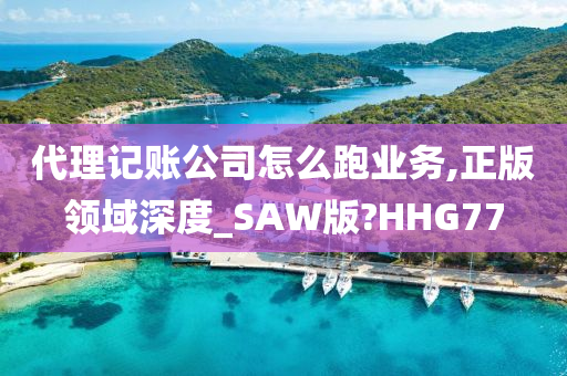 代理记账公司怎么跑业务,正版领域深度_SAW版?HHG77