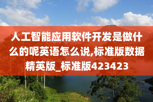 人工智能应用软件开发是做什么的呢英语怎么说,标准版数据精英版_标准版423423