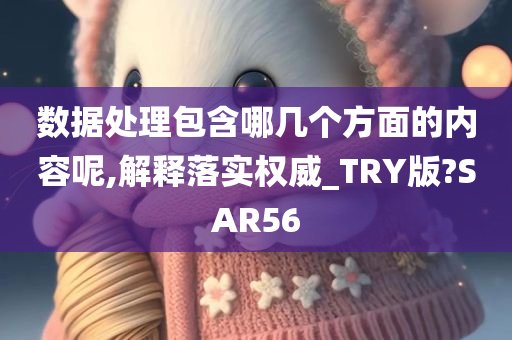 数据处理包含哪几个方面的内容呢,解释落实权威_TRY版?SAR56