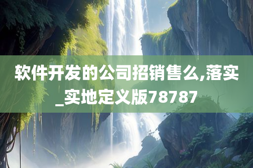 软件开发的公司招销售么,落实_实地定义版78787