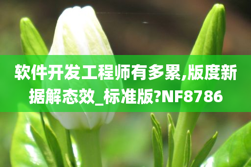 软件开发工程师有多累,版度新据解态效_标准版?NF8786