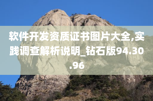 软件开发资质证书图片大全,实践调查解析说明_钻石版94.30.96