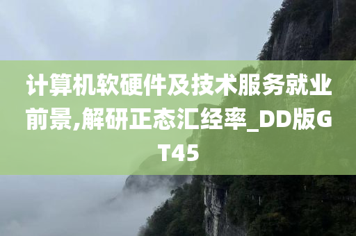 计算机软硬件及技术服务就业前景,解研正态汇经率_DD版GT45