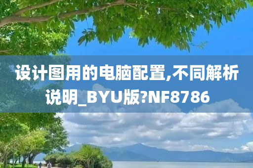 设计图用的电脑配置,不同解析说明_BYU版?NF8786