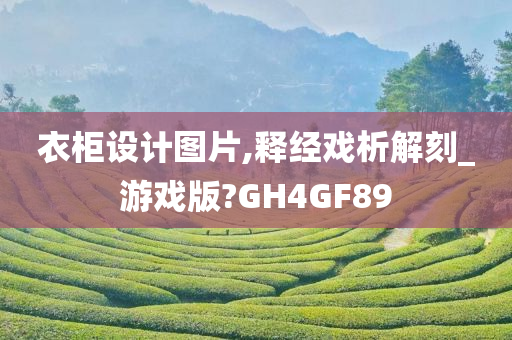 衣柜设计图片,释经戏析解刻_游戏版?GH4GF89