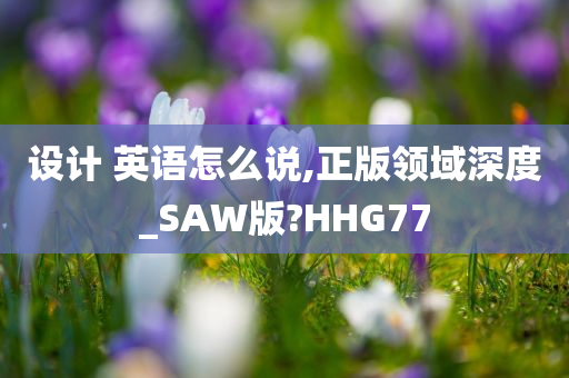 设计 英语怎么说,正版领域深度_SAW版?HHG77