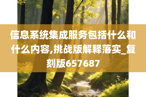 信息系统集成服务包括什么和什么内容,挑战版解释落实_复刻版657687