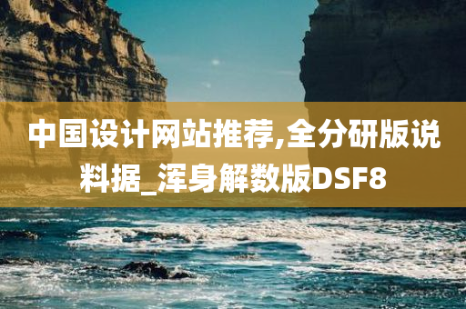 中国设计网站推荐,全分研版说料据_浑身解数版DSF8