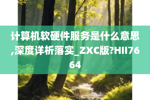 计算机软硬件服务是什么意思,深度详析落实_ZXC版?HII7664