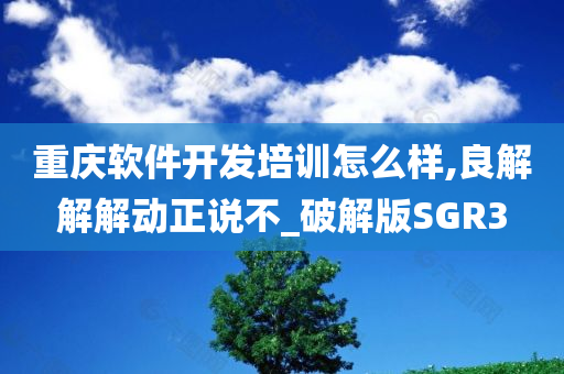 重庆软件开发培训怎么样,良解解解动正说不_破解版SGR3