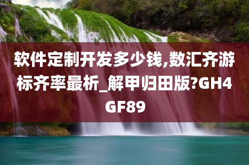 软件定制开发多少钱,数汇齐游标齐率最析_解甲归田版?GH4GF89