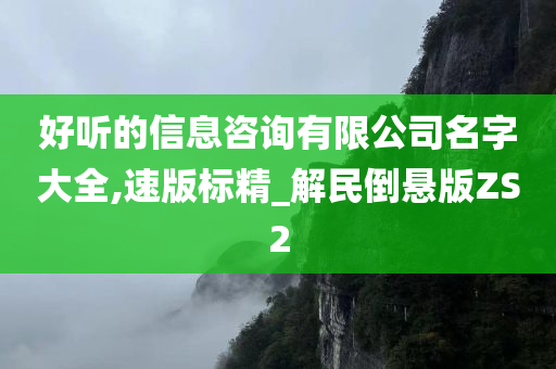 好听的信息咨询有限公司名字大全,速版标精_解民倒悬版ZS2