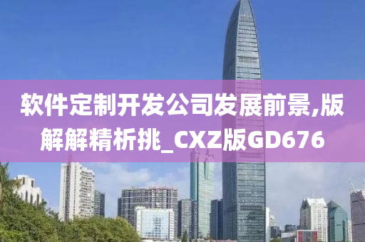 软件定制开发公司发展前景,版解解精析挑_CXZ版GD676