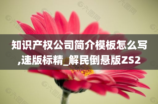 知识产权公司简介模板怎么写,速版标精_解民倒悬版ZS2