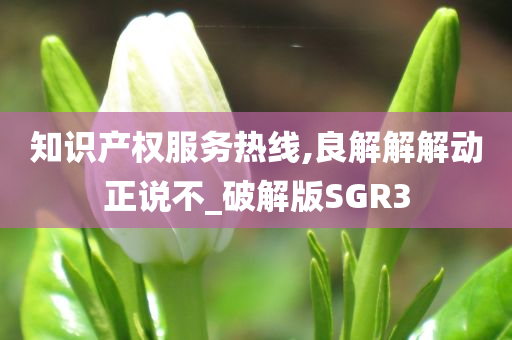 知识产权服务热线,良解解解动正说不_破解版SGR3