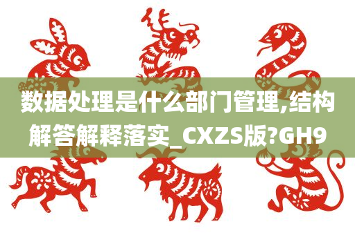 数据处理是什么部门管理,结构解答解释落实_CXZS版?GH9