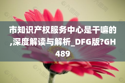 市知识产权服务中心是干嘛的,深度解读与解析_DFG版?GH489